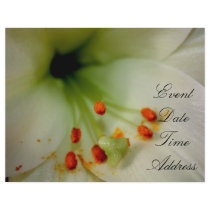 Floral Stationery - Invitation / RSVP - Lilly Letterhead Template
