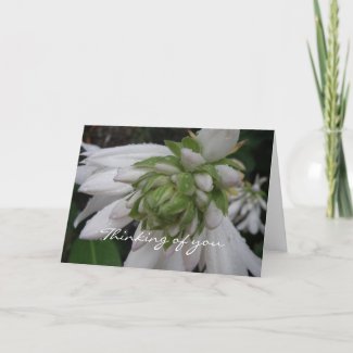 Floral Thinking of you card