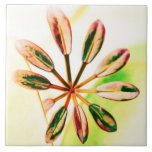 floral ceramic tile