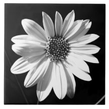 floral tile