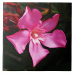 floral ceramic tiles