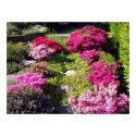 Floral Walkways 2 posters