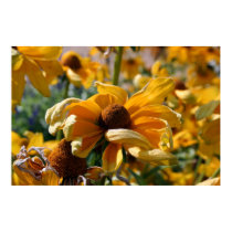 Floral Wave posters