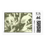 Floral wear. postage stamps