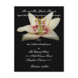 Floral Wedding invitation white lily postcards