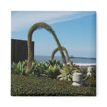Floral wonders magnets