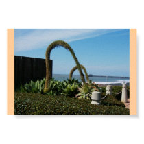 Floral Wonders posters by minx267 Floral Wonders posters