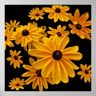 Floral Yellow Black Eyed Susan Flowers Posters