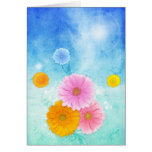 Floralie cards