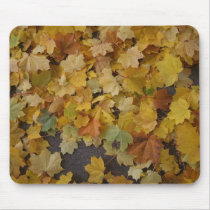 FLORAS FEAST AUTUMN LEAVES mousepads