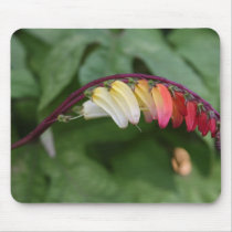 FLORAS FEAST EXOTICA mousepads