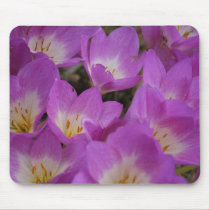 FLORAS FEAST IN VIOLET mousepads by wendybandurskimiller FLORAS FEAST IN VIOLET mousepads