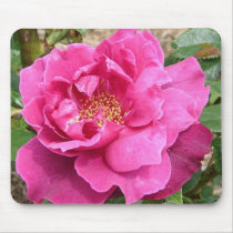 FLORAS FEAST PINK ROSE mousepads