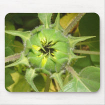 FLORAS FEAST SOLARPOWER mousepads