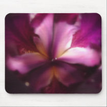 FLORAS FEAST VELVET DEPTHS mousepads by wendybandurskimiller FLORAS FEAST VELVET DEPTHS mousepads