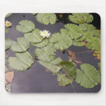 FLORAS FEAST WATERLILY'S mousepads by wendybandurskimiller FLORAS FEAST WATERLILY'S mousepads