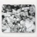 FLORAS FEAST WINTER POM POMS mousepads