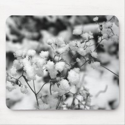 FLORAS FEAST WINTER POM POMS MOUSE MAT by wendybandurskimiller