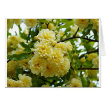 floreal greeting card