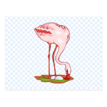 Florence Flamingo Postcard
