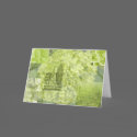Florence, Italy, Image Collage, Green, Greeting Ca cards by SBCSTUDIO Florence, Italy, Image Collage, Green, Greeting Ca cards
