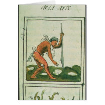 Florentine Codex' by Bernardino de Sahagun Cards
