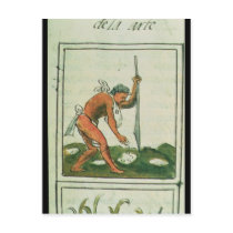 Florentine Codex' by Bernardino de Sahagun Post Cards