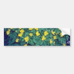 flores amarillas de Japonicum del Chelidonium Etiqueta De Parachoque