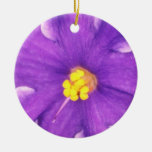 Flores amarillas de Paulia Ornamentos Para Reyes Magos