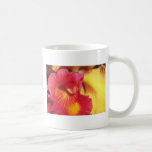 Flores ardientes rojas de la orquídea taza
