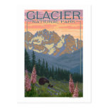 Flores de la primavera - Parque Nacional Glacier,  Postal
