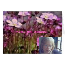 flores del campo, galerie_minisite_aqua_regress... cards by cristinash2007 flores del campo, galerie_minisite_aqua_regress... cards