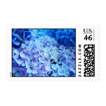 Flores florales azules del Hydrangea de los sellos