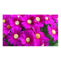 flores magentas hermosas tarjetas de negocio