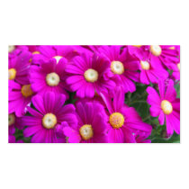 flores magentas hermosas tarjetas de negocio