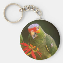 flores Rojo-coronadas del loro Llaveros Personalizados