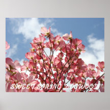 Flores rosadas del DOGWOOD 7 posters de las impres