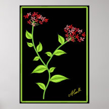 Flores rosadas y rojas posters