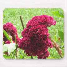 Flores Tapete De Raton