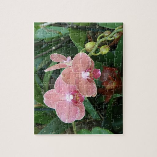 Flores Tropicales  Orquideas Jigsaw Puzzle