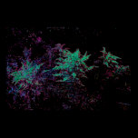 Florescent Garden posters