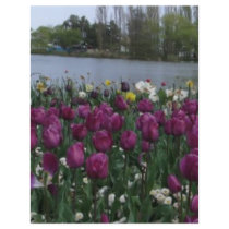 Floriade Lake 2009 flyers by sharonsphotography Floriade Lake 2009 flyers