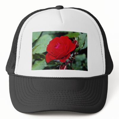 Zazzle