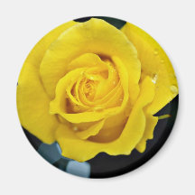 Floribunda flowers magnet
