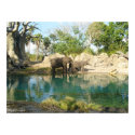 Florida , All right reserved - CalocSAY posters