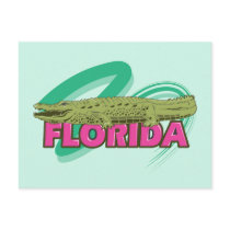 Florida Alligator Postcards