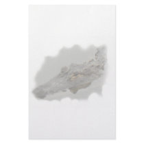 Florida Alligator Personalized Stationery