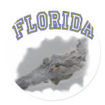 Florida alligator