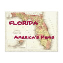 FLORIDA America's Penis postacrd postcards by JaxColdSweat FLORIDA America's Penis postacrd postcards