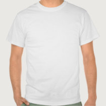 FLORIDA, Another Day In Paradise t-shirts